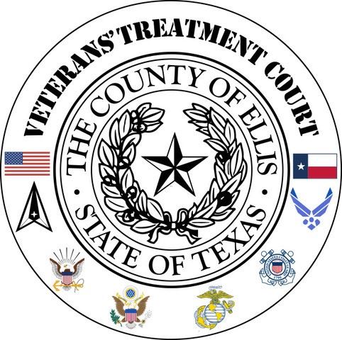 Veterans' Treatment Court Seal